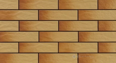Камінь фасадний ЦЕР GOBI рустик 245*65*6,5 (0,5м кв/ящ)