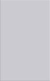 Плитка стіна Bloom grey satin 250*400 G1
