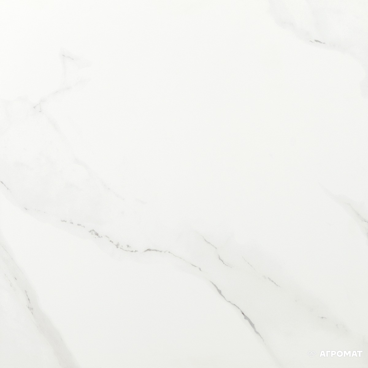 Carrara White F P RN Mat 600*600 (1.44м2/уп. 4 шт)
