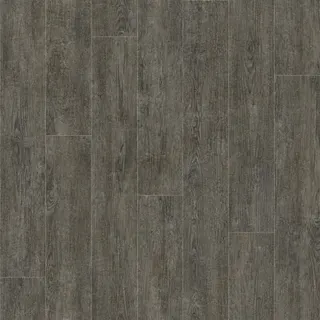 Лінолеум Tarkett Evolution Vancouver 5 3,5м