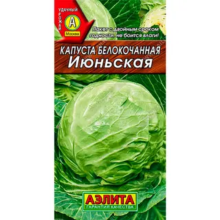 Капуста червонокачанна Рубін 1г
