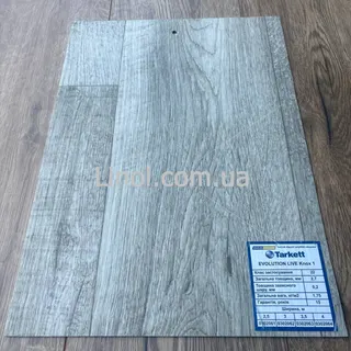 Лінолеум Tarkett Evolution Live  TIBO 5  4м 1клас