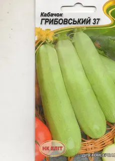Кабачок Грибовський 37 20 нас