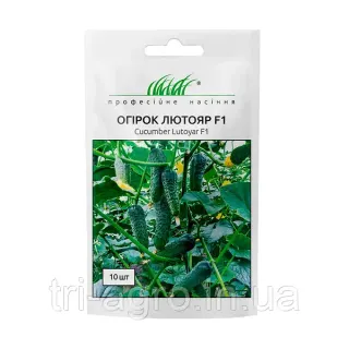 Огірок