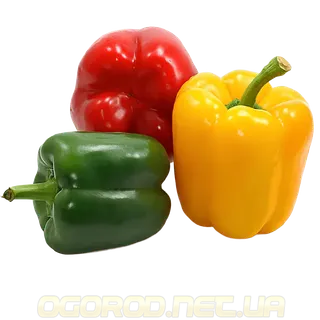 Перець солодкий Айвенго (0.2г)