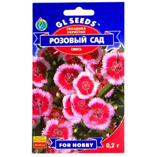 Гвоздика Периста Рожевий сад