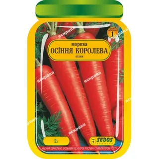 Морква Королева Осені 2г.