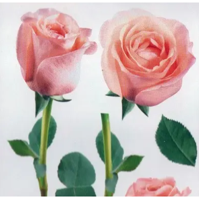 12 Троянда рожева наклейка Декупаж